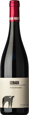25,95 € Envoi gratuit | Vin Rouge San Salvatore 1988 Ceraso D.O.C. Paestum Campanie Italie Aglianico 75 cl