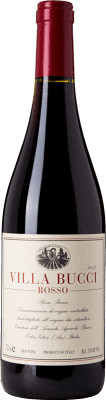 42,95 € Free Shipping | Red wine Villa Bucci D.O.C. Rosso Piceno Marche Italy Sangiovese, Montepulciano Bottle 75 cl