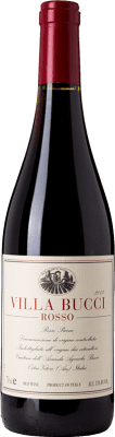 29,95 € Envío gratis | Vino Tinto Villa Bucci D.O.C. Rosso Piceno Marche Italia Sangiovese, Montepulciano 75 cl