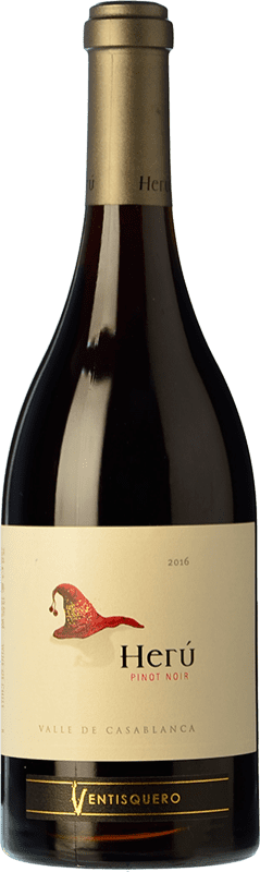 36,95 € Бесплатная доставка | Красное вино Viña Ventisquero Herú старения I.G. Valle del Maipo Долина Майпо Чили Pinot Black бутылка 75 cl