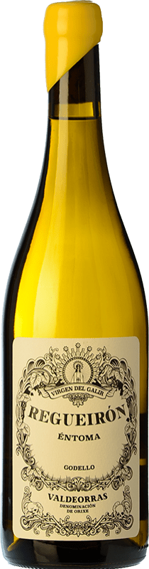 31,95 € Kostenloser Versand | Weißwein Virxe de Galir Regueirón D.O. Valdeorras Galizien Spanien Godello Flasche 75 cl