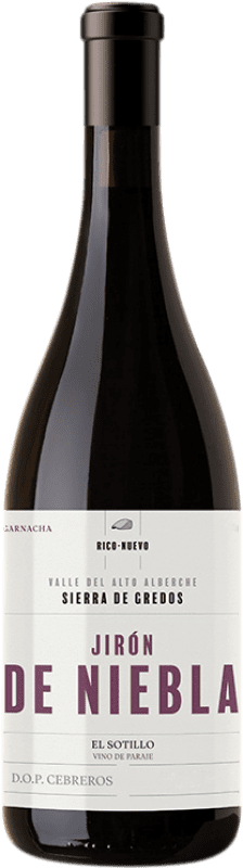 39,95 € Free Shipping | Red wine Rico Nuevo Viticultores Jirón de Niebla D.O.P. Cebreros Castilla y León Spain Grenache Tintorera Bottle 75 cl