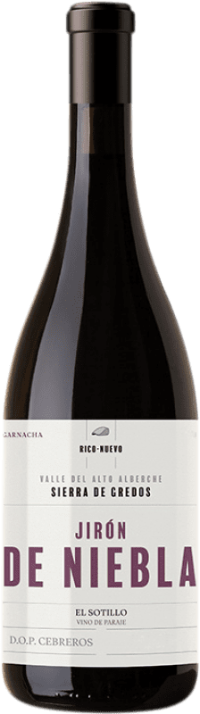 29,95 € Envio grátis | Vinho tinto Rico Nuevo Viticultores Jirón de Niebla D.O.P. Cebreros Castela e Leão Espanha Grenache Tintorera Garrafa 75 cl