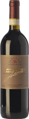 25,95 € Envoi gratuit | Vin Rouge Adanti D.O.C.G. Sagrantino di Montefalco Ombrie Italie Sagrantino 75 cl