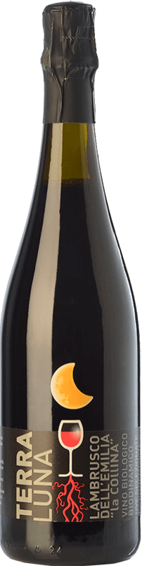 13,95 € 免费送货 | 红酒 La Collina Terraluna I.G.T. Emilia Romagna 艾米利亚 - 罗马涅 意大利 Lambrusco 瓶子 75 cl