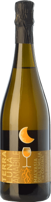 9,95 € Free Shipping | White wine La Collina Terraluna Malvasia Amabile I.G.T. Emilia Romagna Emilia-Romagna Italy Malvasia Bianca di Candia Bottle 75 cl
