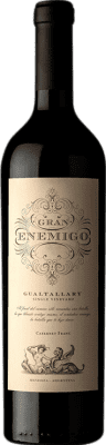 126,95 € Free Shipping | Red wine Aleanna Gran Enemigo Gualtallary Single Vineyard I.G. Mendoza Mendoza Argentina Cabernet Franc, Malbec Bottle 75 cl