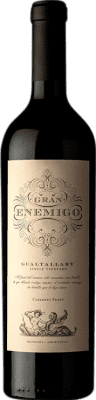 125,95 € Envío gratis | Vino tinto Aleanna Gran Enemigo Gualtallary Single Vineyard I.G. Mendoza Mendoza Argentina Cabernet Franc, Malbec Botella 75 cl