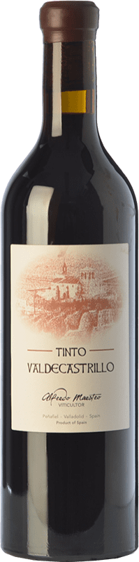 14,95 € Free Shipping | Red Wine Maestro Tejero Castrillo de Duero Crianza — Aged I.G.P. Vino de la Tierra de Castilla y León Castilla y León Spain Tempranillo Bottle 75 cl