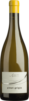 19,95 € Бесплатная доставка | Белое вино Andriano Pinot Grigio D.O.C. Alto Adige Трентино-Альто-Адидже Италия Pinot Grey бутылка 75 cl
