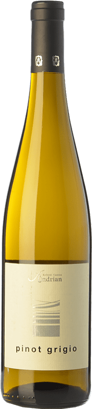 15,95 € 免费送货 | 白酒 Andriano Pinot Grigio D.O.C. Alto Adige 特伦蒂诺 - 上阿迪杰 意大利 Pinot Grey 瓶子 75 cl