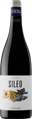 AT Roca Sileo молодое 75 cl