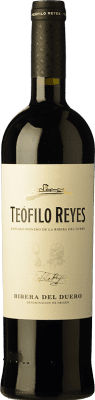 19,95 € Envoi gratuit | Vin rouge Teófilo Reyes Crianza D.O. Ribera del Duero Castille et Leon Espagne Tempranillo Bouteille 75 cl