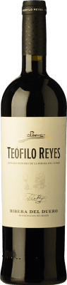 21,95 € Envoi gratuit | Vin rouge Teófilo Reyes Crianza D.O. Ribera del Duero Castille et Leon Espagne Tempranillo Bouteille 75 cl