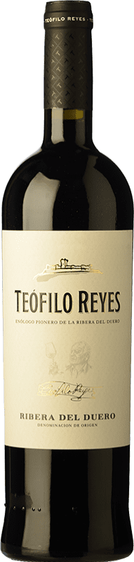 19,95 € Бесплатная доставка | Красное вино Teófilo Reyes старения D.O. Ribera del Duero Кастилия-Леон Испания Tempranillo бутылка 75 cl