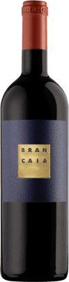 119,95 € 送料無料 | 赤ワイン Brancaia Il Blu I.G.T. Toscana トスカーナ イタリア Merlot, Cabernet Sauvignon, Sangiovese ボトル 75 cl