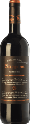 43,95 € Free Shipping | Red Wine Briego Fiel Reserve — Aged D.O. Ribera del Duero Castilla y León Spain Tempranillo Bottle 75 cl