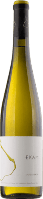 33,95 € Envío gratis | Vino blanco Castell d'Encus Ekam D.O. Costers del Segre Cataluña España Albariño, Riesling Botella 75 cl