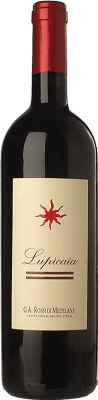 124,95 € Free Shipping | Red wine Castello del Terriccio Lupicaia I.G.T. Toscana Tuscany Italy Merlot, Cabernet Sauvignon, Petit Verdot Bottle 75 cl