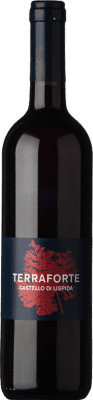 26,95 € Envio grátis | Vinho tinto Castello di Lispida Terraforte I.G.T. Veneto Vêneto Itália Merlot, Sangiovese Garrafa 75 cl