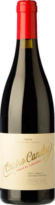 25,95 € Free Shipping | Red wine Castro Candaz Finca El Curvado Aged D.O. Ribeira Sacra Galicia Spain Mencía Bottle 75 cl