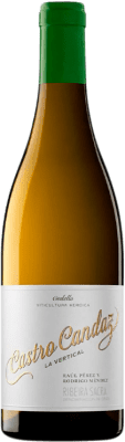 29,95 € Envio grátis | Vinho branco Castro Candaz La Vertical Crianza D.O. Ribeira Sacra Galiza Espanha Godello Garrafa 75 cl