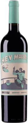 17,95 € Envoi gratuit | Vin Rouge Matías Riccitelli Hey I.G. Mendoza Mendoza Argentine Malbec 75 cl