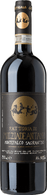 41,95 € Free Shipping | Red Wine Colleallodole D.O.C.G. Sagrantino di Montefalco Umbria Italy Sagrantino 75 cl