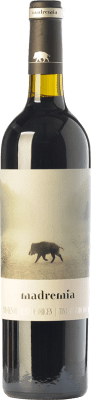 15,95 € Envío gratis | Vino tinto Divina Proporción Madremía Joven D.O. Toro Castilla y León España Tinta de Toro Botella 75 cl