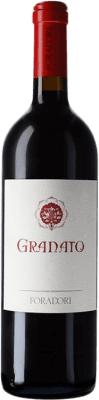 74,95 € 免费送货 | 红酒 Foradori Granato I.G.T. Vigneti delle Dolomiti 特伦蒂诺 意大利 Teroldego 瓶子 75 cl