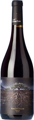 15,95 € Spedizione Gratuita | Vino rosso Proyecto Garnachas La Garnatxa Fosca D.O.Ca. Priorat Catalogna Spagna Grenache Bottiglia 75 cl