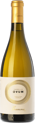 12,95 € Spedizione Gratuita | Vino bianco Gramona Ovum D.O. Penedès Catalogna Spagna Xarel·lo Bottiglia 75 cl