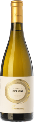 Gramona Ovum Xarel·lo Organic 75 cl
