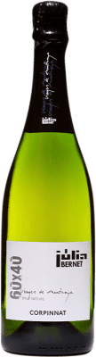 26,95 € 免费送货 | 白起泡酒 Júlia Bernet 60x40 Brut Nature D.O. Cava 加泰罗尼亚 西班牙 Xarel·lo, Chardonnay 瓶子 75 cl