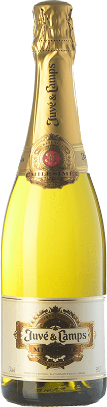 31,95 € 免费送货 | 白起泡酒 Juvé y Camps Millésimé 预订 D.O. Cava 加泰罗尼亚 西班牙 Chardonnay 瓶子 75 cl