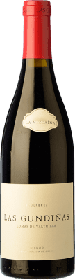 34,95 € Free Shipping | Red wine La Vizcaína Las Gundiñas Aged D.O. Bierzo Castilla y León Spain Mencía, Grenache Tintorera, Sousón, Estaladiña Bottle 75 cl