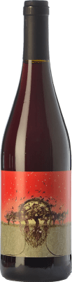 11,95 € Free Shipping | Red wine Mas Candí Cabòries Joven D.O. Penedès Catalonia Spain Mandó, Sumoll, Xarel·lo Bottle 75 cl