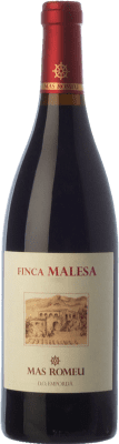 19,95 € Envio grátis | Vinho tinto Mas Romeu Finca Malesa Crianza D.O. Empordà Catalunha Espanha Merlot, Grenache Garrafa 75 cl