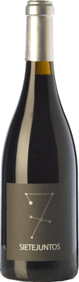 Microbio Ismael Gozalo Sietejuntos Syrah Crianza 75 cl