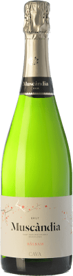 8,95 € Spedizione Gratuita | Spumante Bianco Muscàndia Balsam Brut D.O. Cava Catalogna Spagna Macabeo, Xarel·lo, Parellada 75 cl