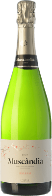 7,95 € Spedizione Gratuita | Spumante bianco Muscàndia Balsam Brut D.O. Cava Catalogna Spagna Macabeo, Xarel·lo, Parellada Bottiglia 75 cl