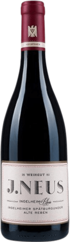 27,95 € Бесплатная доставка | Красное вино J. Neus Ingelheim Alte Reben Q.b.A. Rheinhessen Rheinhessen Германия Pinot Black бутылка 75 cl