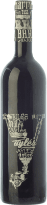 10,95 € Free Shipping | Red wine Pago de Aylés Y Barrica Young D.O.P. Vino de Pago Aylés Aragon Spain Tempranillo, Merlot, Grenache, Cabernet Sauvignon Bottle 75 cl