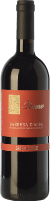 42,95 € Envio grátis | Vinho Tinto Parusso Superior D.O.C. Barbera d'Alba Piemonte Itália Barbera 75 cl