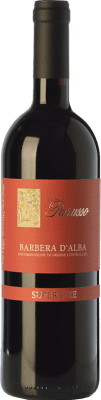 Parusso Superiore Barbera 75 cl