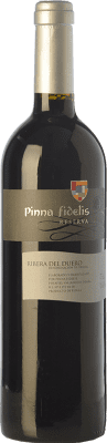 25,95 € Spedizione Gratuita | Vino rosso Pinna Fidelis Riserva D.O. Ribera del Duero Castilla y León Spagna Tempranillo Bottiglia 75 cl