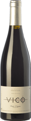 27,95 € Бесплатная доставка | Красное вино Raúl Pérez Vico старения D.O. Bierzo Кастилия-Леон Испания Mencía бутылка 75 cl