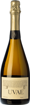 46,95 € Envío gratis | Espumoso blanco Rimarts Uvae Brut Nature D.O. Cava Cataluña España Xarel·lo, Chardonnay Botella 75 cl