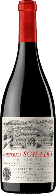 45,95 € Free Shipping | Red wine Scala Dei Cartoixa Reserva D.O.Ca. Priorat Catalonia Spain Grenache, Carignan Bottle 75 cl