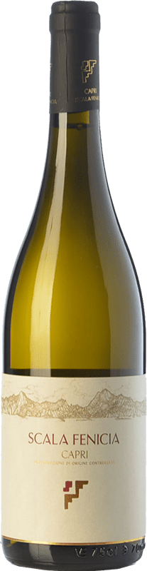 29,95 € Envio grátis | Vinho Branco Scala Fenicia D.O.C. Capri Campania Itália Greco, Falanghina, Biancolella 75 cl